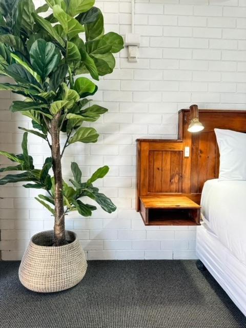 Motel Pacific Sun Bargara Esterno foto